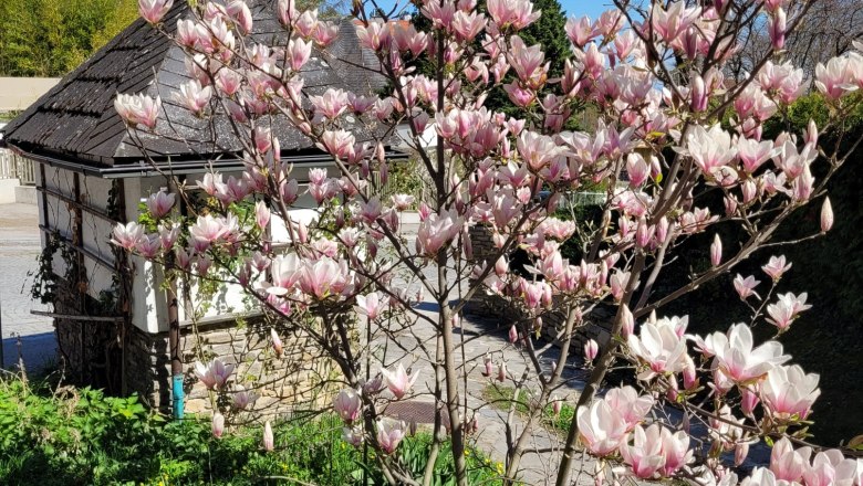 Boutiquehotel Landhaus am Kurpark, © Boutiquehotel Landhaus am Kurpark Boutiquehotel Landhaus am Kurpark, © Boutiquehotel Landhaus am Kurpark