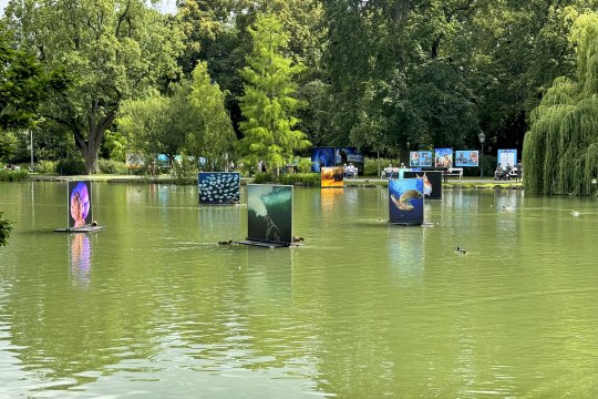 Festival La Gacilly-Baden Photo 2024, © Lois Lammerhuber Festival La Gacilly-Baden Photo 2024, © Lois Lammerhuber