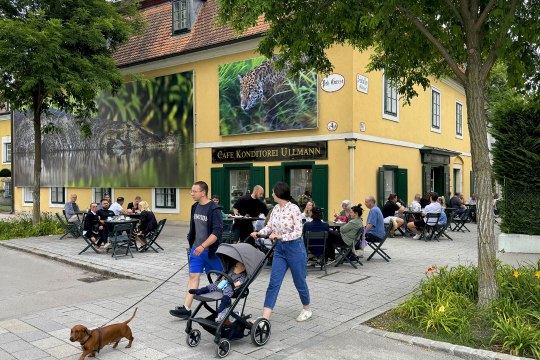 Festival La Gacilly-Baden Photo 2024, © Lois Lammerhuber Festival La Gacilly-Baden Photo 2024, © Lois Lammerhuber