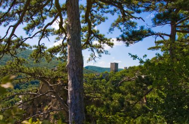 Biosphärenpark Wienerwald, © Ovidiu Dehelean Biosphärenpark Wienerwald, © Ovidiu Dehelean