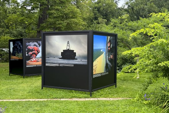 Festival La Gacilly-Baden Photo 2024, © Lois Lammerhuber Festival La Gacilly-Baden Photo 2024, © Lois Lammerhuber