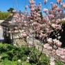 Boutiquehotel Landhaus am Kurpark, © Boutiquehotel Landhaus am Kurpark Boutiquehotel Landhaus am Kurpark, © Boutiquehotel Landhaus am Kurpark