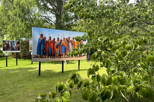 Festival La Gacilly-Baden Photo 2024, © Lois Lammerhuber Festival La Gacilly-Baden Photo 2024, © Lois Lammerhuber