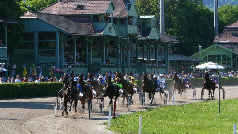 Badener Trabrennverein, © Badener Trabrennverein Badener Trabrennverein, © Badener Trabrennverein