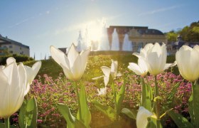 1. Mai Sommersaison Eröffnung, © Lois Lammerhuber