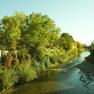 A river with clear water flows through a green, overgrown landscape with trees and a house on the bank.