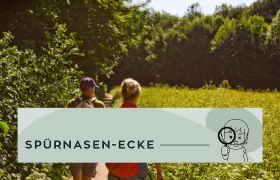 Sp&uuml;rnasenrunden Baden, &copy; Wienerwald Tourismus GmbH / Tourismus der Stadtgemeinde Baden