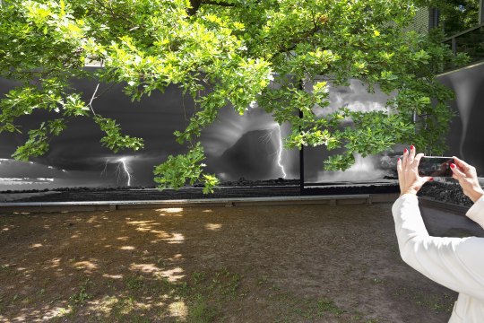 Festival 2025, &copy; Lois Lammerhuber