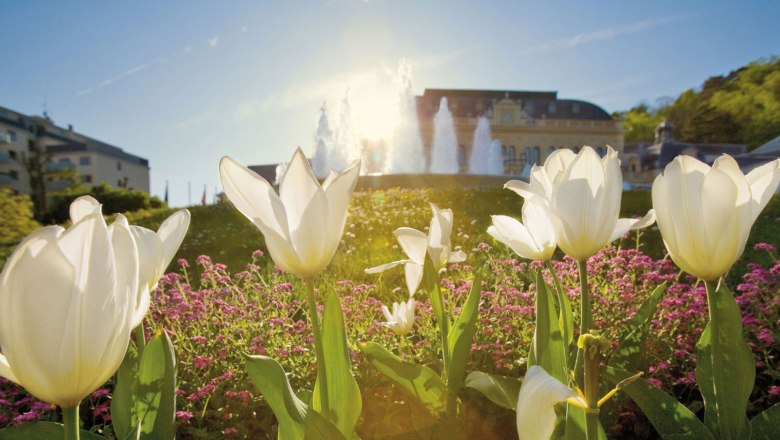 1. Mai Sommersaison Er&ouml;ffnung, &copy; Lois Lammerhuber