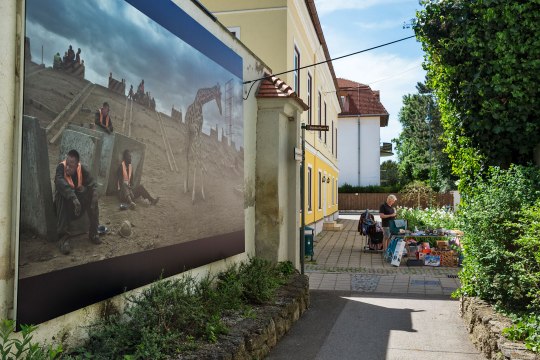 Festival , © Lois Lammerhuber