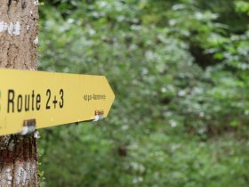 Richtungspfeil Wanderweg, &copy; "Tut Gut!"