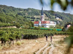Vineyard cycle path, &copy; Nieder&ouml;sterreich Werbung / Hauke Dressler