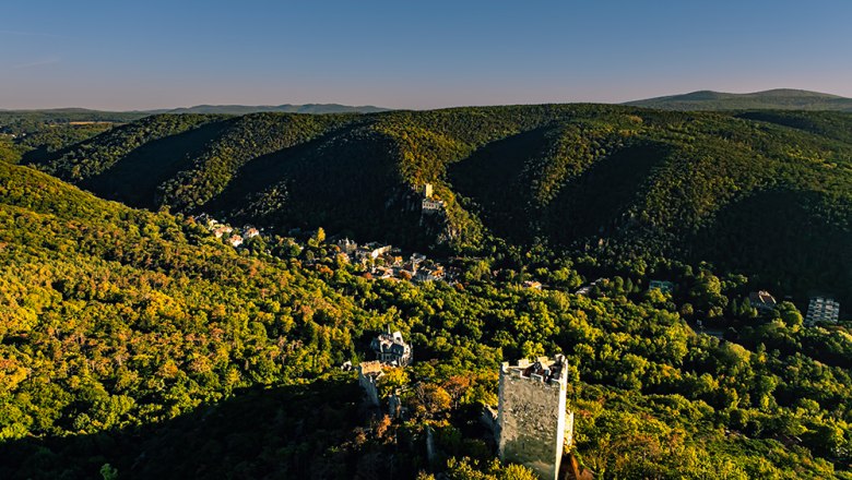 Burgruine Rauheneck, &copy; Sascha Schernthaner