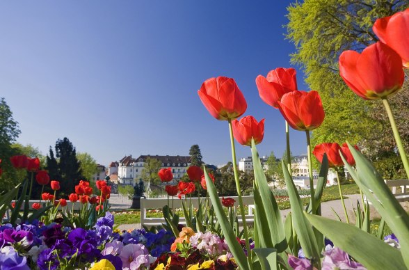 Hotel Herzoghof, © Hotel Herzoghof