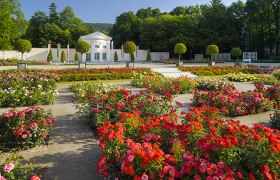 Badener Rosarium, © Rainer Mirau