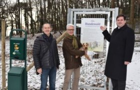 Hundewald im Kurpark, © psb/sap © NÖN