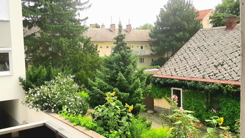 View from the balcony, &copy; Gottfried Steiner