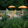 Garden with yellow sun loungers and parasols, surrounded by flowers and trees.