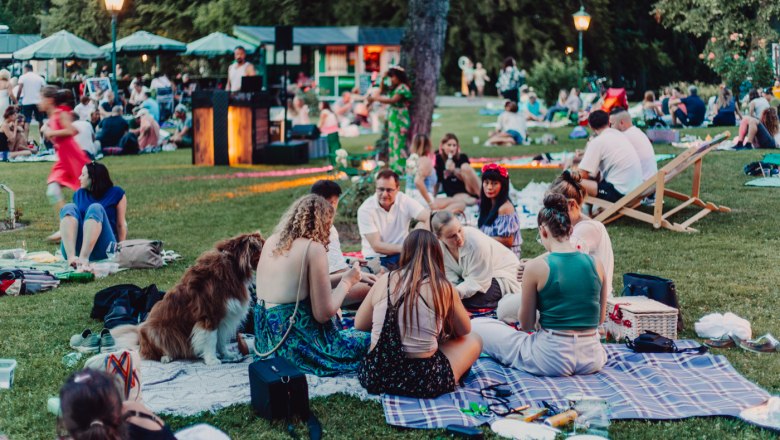 Picknick im Park 