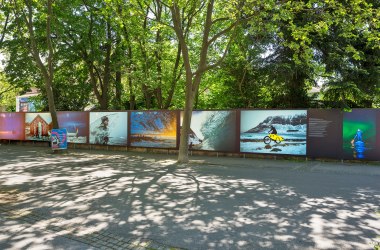 Festival, &copy; Lois Lammerhuber