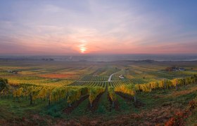 Weingarten Wanderung, © Rainer Mirau