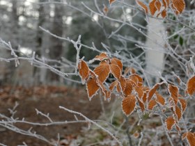 Wienerwald, &copy; Wienerwald Tourismus GmbH / Kerstin Semmelmeyer
