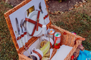 Picknick im Park , © Teresa Wagenhofer