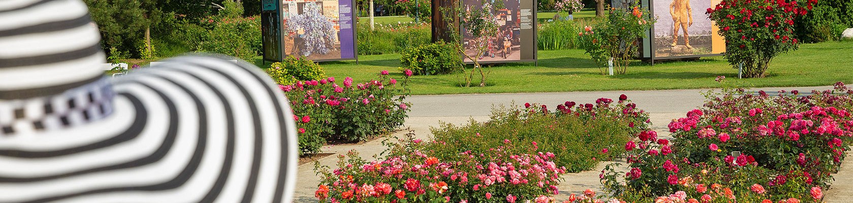 Festival "ORIENT", &copy; Lois Lammerhuber