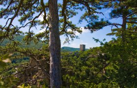 Biosphärenpark Wienerwald, © Ovidiu Dehelean