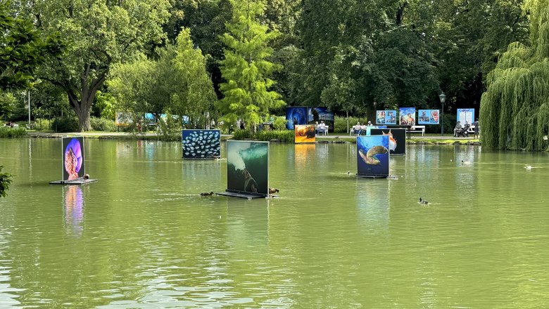 Festival La Gacilly-Baden Photo 2024, &copy; Lois Lammerhuber