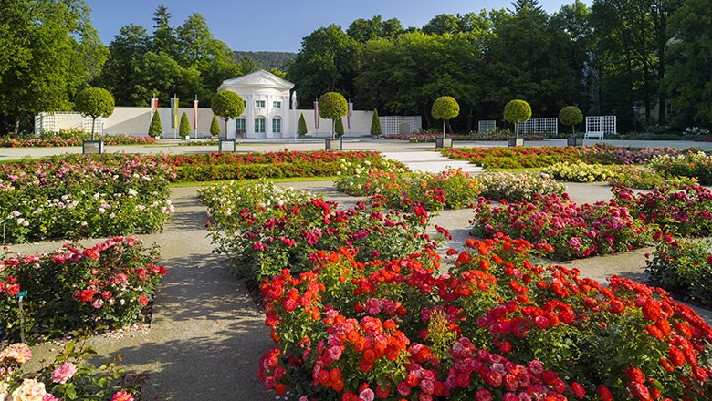 Badener Rosarium, © Rainer Mirau