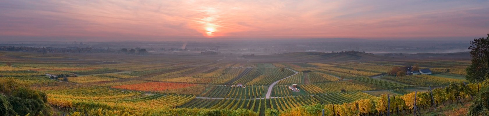 Weingarten Wanderung, © Rainer Mirau
