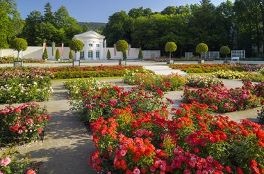 Badener Rosarium, &copy; Rainer Mirau