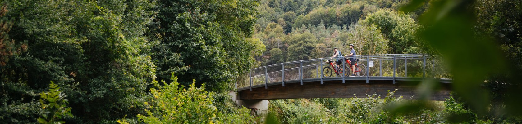 Wienerwald Radfahren 02, © Consolati