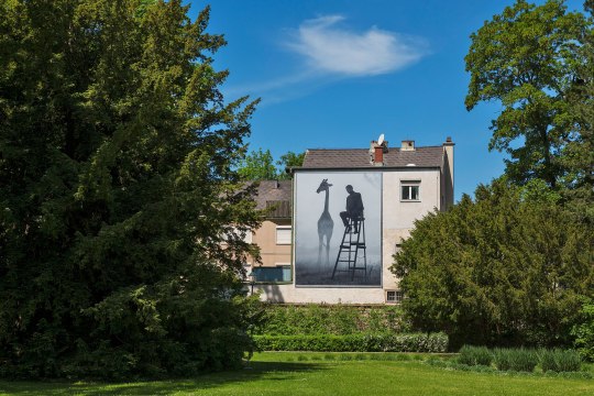 Festival , © Lois Lammerhuber