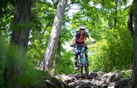 MTB Wienerwald, &copy; Wienerwald Tourismus GmbH / Markus Fr&uuml;hmann