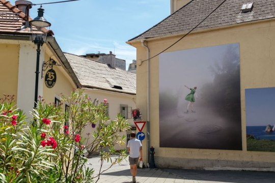 Festival La Gacilly-Baden Photo, © Ovidiu Dehelean