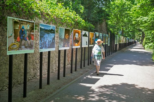 Festival, © Lois Lammerhuber