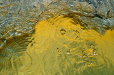 Gelbes Gold, &copy; GG Tourismus der Stadtgemeinde Baden