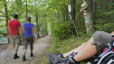 Geführte Wienerwald Wanderung, © Rainer Mirau