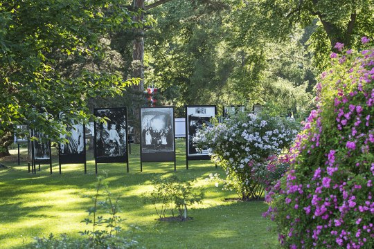 Festival La Gacilly-Baden Photo, © Lois Lammerhuber