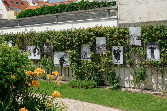 Festival La Gacilly-Baden Photo, © Ovidiu Dehelean