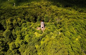 Wilhelmswarte _ Die T&uuml;rme des Wienerwaldes, &copy; Wienerwald Tourismus